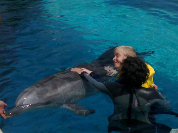Podczas ćwiczeń wiązki ultradźwięków wysyłane przez delfiny przenikają ciało, powodując pozytywne zmiany w organizmie.